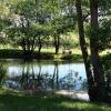 La mare aux canards